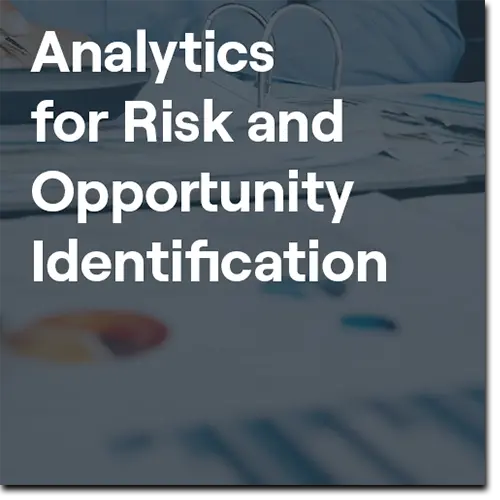 Analytics for Risk and Opportunity Identification